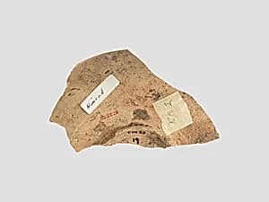 Bowl sherd by Unknown Artist