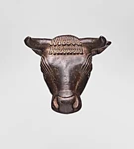 Bull's head by Unknown Artist