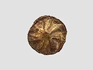 Button by Unknown Artist