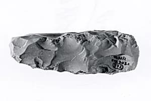 Chisel by Unknown Artist