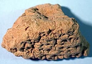 Cuneiform tablet: fragment, Ebabbar archive by Unknown Artist
