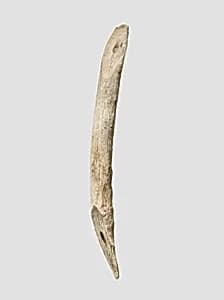 Curved handle by Unknown Artist