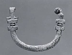 Fibula by Unknown Artist