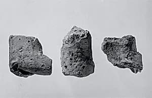 Fragments of animal figurines by Unknown Artist