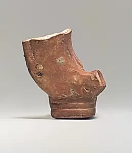 Furniture leg, lion's paw by Unknown Artist