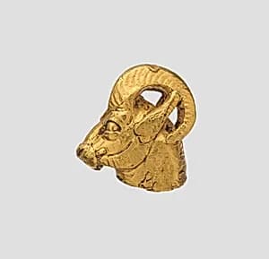 Head of a wild ram by Unknown Artist