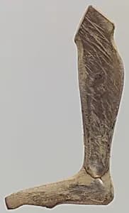 Inlay: leg and foot by Unknown Artist
