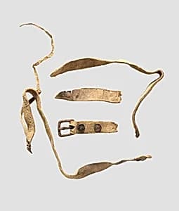 Leather belt strap with buckle by Unknown Artist