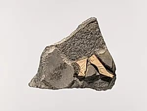 Plaque with animal legs by Unknown Artist