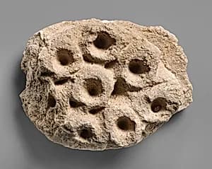 Relief fragment by Unknown Artist