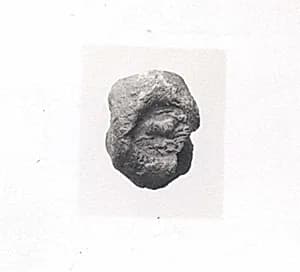 Sealing by Unknown Artist