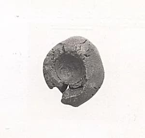 Sealing by Unknown Artist