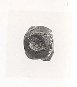 Sealing by Unknown Artist