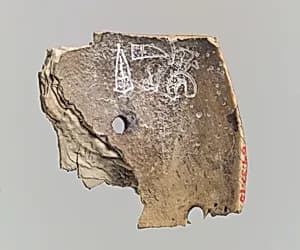 Shell fragment by Unknown Artist
