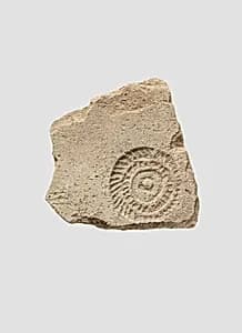 Sherd by Unknown Artist