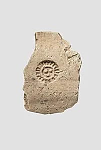 Sherd by Unknown Artist