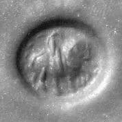 Stamp seal by Unknown Artist