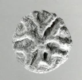 Stamp seal by Unknown Artist