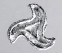 Stamp seal by Unknown Artist