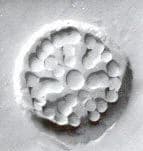 Stamp seal by Unknown Artist