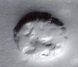 Stamp seal (scaraboid) with animal by Unknown Artist