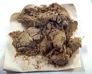 Textile fragment by Unknown Artist