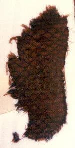 Textile fragment by Unknown Artist