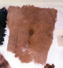 Textile fragment by Unknown Artist