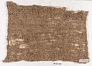 Cloth Fragment by Unknown Artist