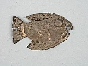 Costume Ornament by Unknown Artist