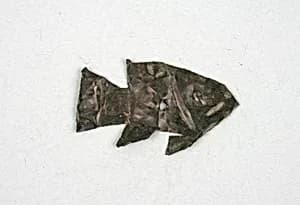 Costume Ornament by Unknown Artist