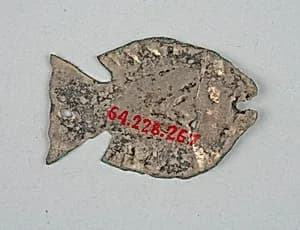 Costume Ornament by Unknown Artist