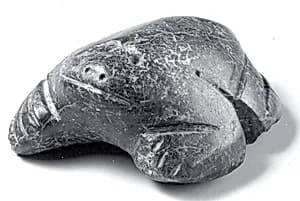 Frog by Unknown Artist