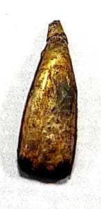 Hammered Silver Petal Ornament by Unknown Artist