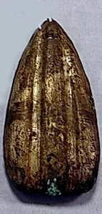 Hammered Silver Petal Ornament by Unknown Artist