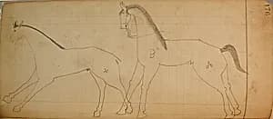 Maffet Ledger: Drawing by Unknown Artist