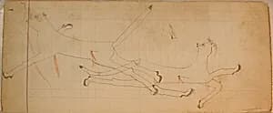 Maffet Ledger: Wounded Mountain Lions by Unknown Artist