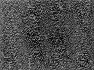 Woven Panel Fragment by Unknown Artist