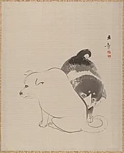 狗児図|A Pair of Puppies by Kawabata Gyokushō