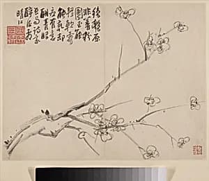 清 李方膺 墨梅圖 冊|Album of Blossoming Plum