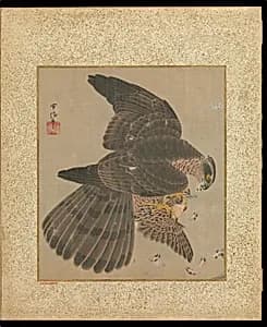 十鷹書画冊|Album of Hawks and Calligraphy by Kano Tsunenobu