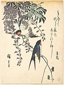 Swallow and Wisteria by Utagawa Hiroshige