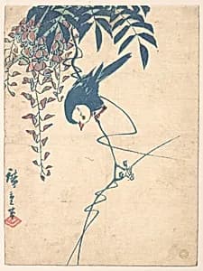 Wisteria and White-headed Bird by Utagawa Hiroshige