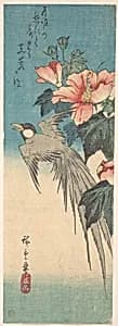Hibiscus Mutabilis and Long-Tailed Bird by Utagawa Hiroshige