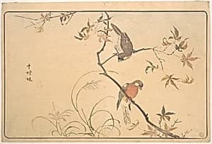 Jūshimatsu (Begalee or a society finch) by Kuwagata Keisai