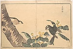 Bai tou weng by Kuwagata Keisai