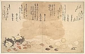 Shells under Water by Kitagawa Utamaro