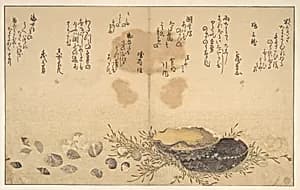 Shells Under Water by Kitagawa Utamaro