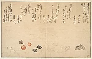 Shells under Water by Kitagawa Utamaro