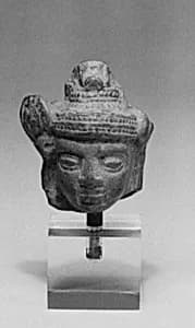 Head of a Male by Unknown Artist